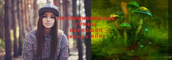прущая мука Кулебаки