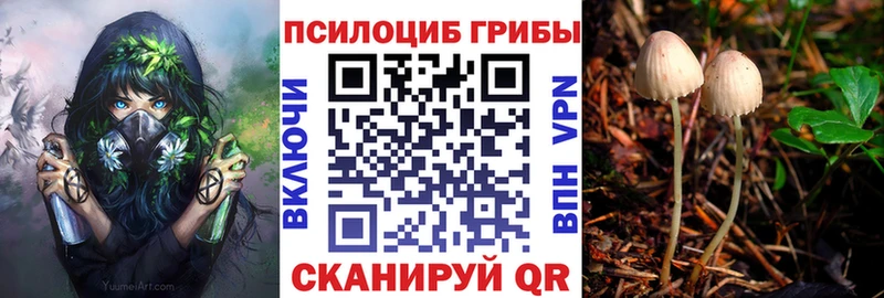 Псилоцибиновые грибы Psilocybine cubensis  Куровское 